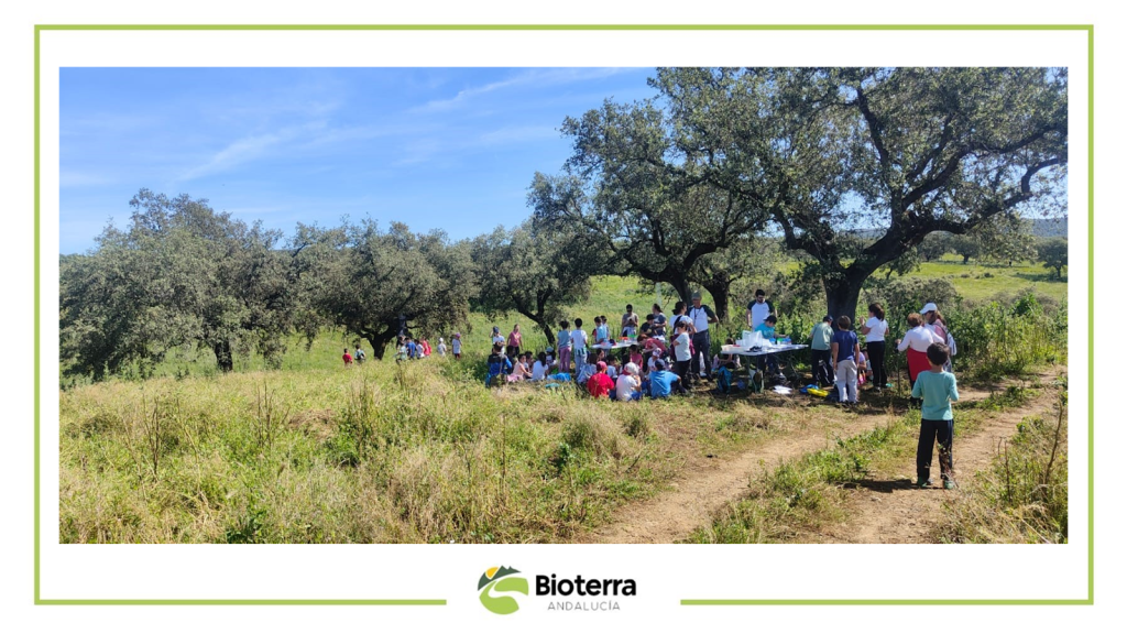 Realizamos un bioblitz con los alumnos de 3º y 4º del CEIP San José de Calasanz en la puebla de los infantes (Sevilla)
